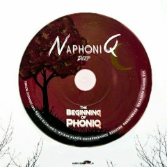 2. Mr phoniQ (Original Mix)