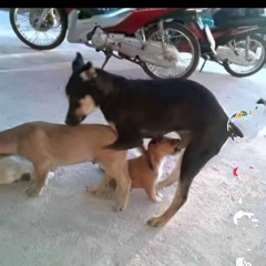 aku yang tersakiti (sped up!)