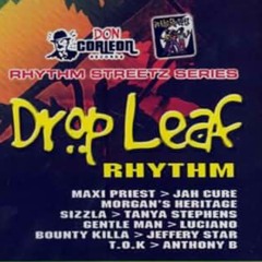 Drop Leaf Riddim 2005 Mix - DJ Smilee