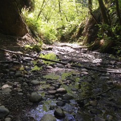 Nothin' To Say (Demo)