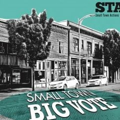 2020 STAND Election Guide: Public Service Announcements