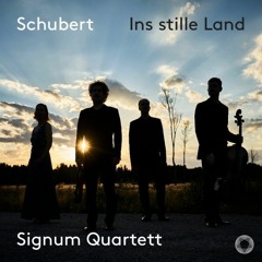 Franz Schubert: 3. Scherzo from String Quartet in d minor D 810 "Death and the Maiden"