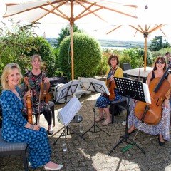 The String Quartet