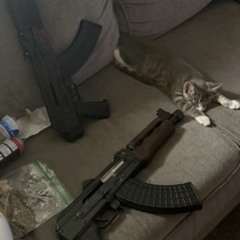 cat produced by zatru