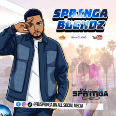 Springa blendz