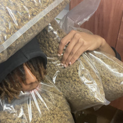 Jalilovesosa - Hannah Montana