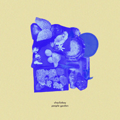 [Indie Rock] - Nomenclature - Charlieboy