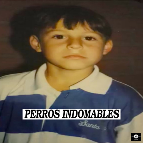 Stream Perros Indomables by Fer y Julio | Listen online for free on  SoundCloud