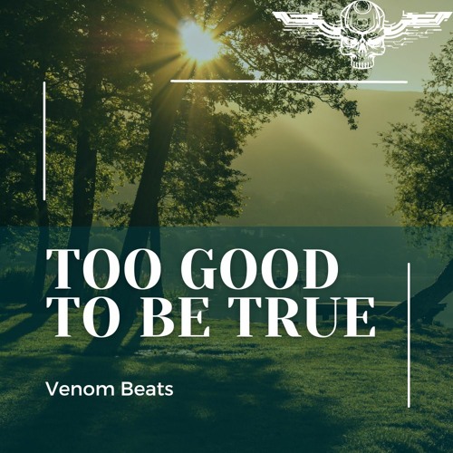 Stream Too Good To Be True by Venom Beats | Listen online for free on