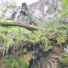 HardTechNoSession.wav