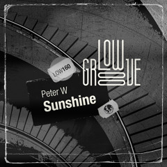 LOW160 : Peter W - Lose (Original Mix)
