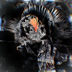 occupancy in death