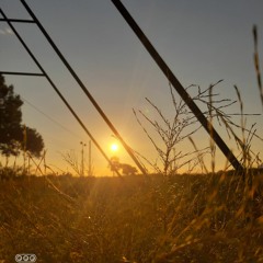 Có một hôm trời đỗ mưa | Chicolus