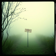 Chard of Fools and Lotto Blues