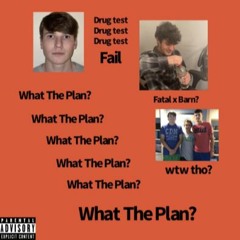 FatalAnal - What The Plan?(feat. BARN)