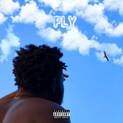 Fly
