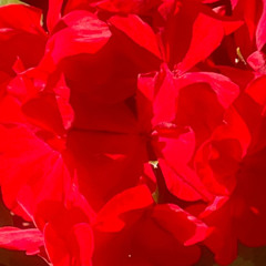 032 April 2025