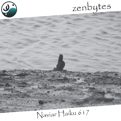 fish skeleton - Naviarhaiku617