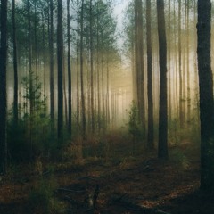 The Space Between