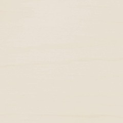 JAMUARY 17 2021