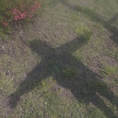 slipping away