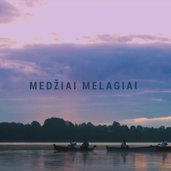 VELVET - MEDŽIAI MELAGIAI (BeerGod Remix)