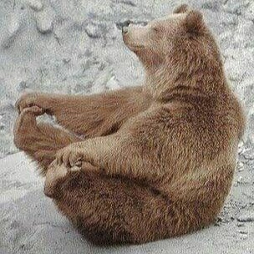 Dancing Happy Bear Forest GIF | GIFDB.com