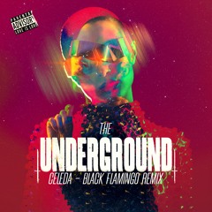 The Underground ( Black Flamingo Remix ) - Celeda