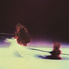 Flower And Floor (demo)