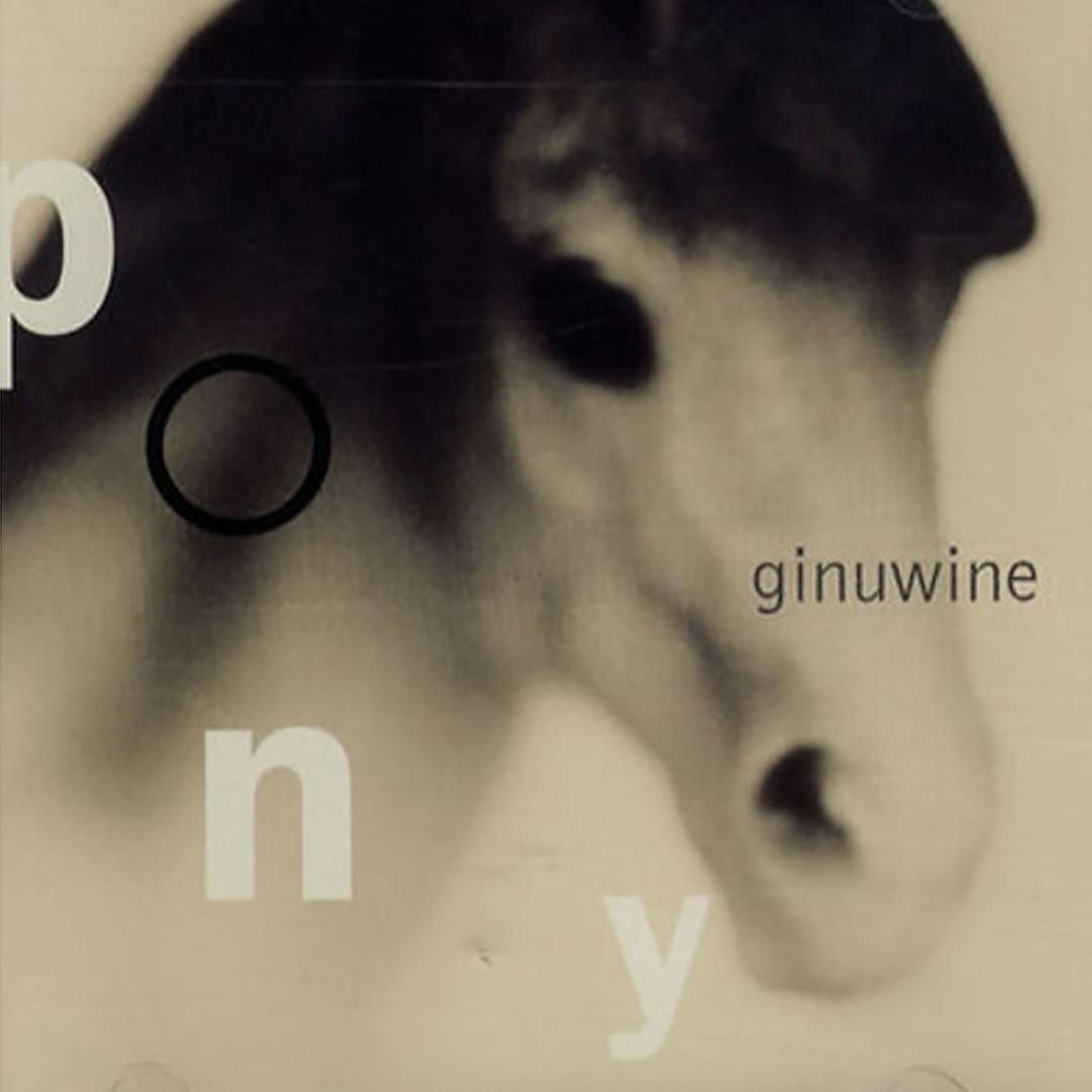 Ginuwine – Pony (PQZ & Tera Kòrá Extended Remix)