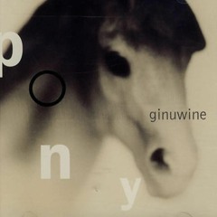 Ginuwine - Pony (PQZ & Tera Kòrá Extended Remix)