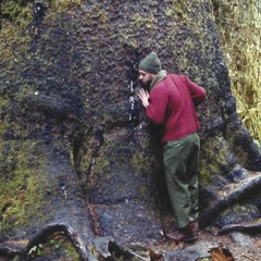 Wayward in Limbo #51 – Dave Knott