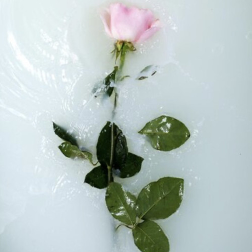 Stream Choking On A Rose by YUNG GRIEF Listen online for free on