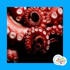 Question Your World - Do octopuses make homes?
