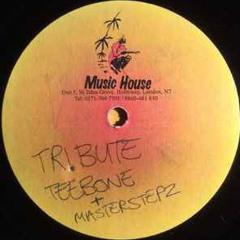 Teebone + Masterstepz - Tribute (UKG)