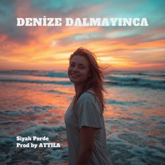 Denize Dalmayınca