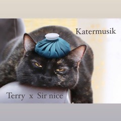 Katermusik ft. Sir nice