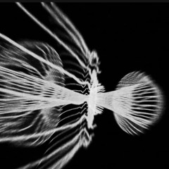 Invocation - Live at ASIA NOW Art Fair, Paris (Monnaie de Paris), 2025