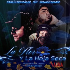 La Flor y la Hoja Seca - Carlin Gonzalez Ft. Ronald Gómez