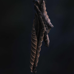 Music For Walking In The Dark