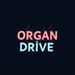 O r g a n  D r i v e