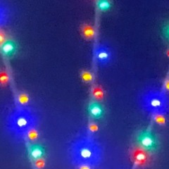 Untitled 13 - a year