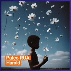 Palco RUA - 14Out25 - Harold - O Último Malmequer (Álbum)