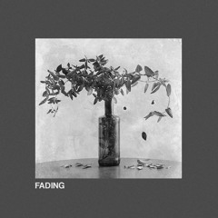 Fraunhofer Diffraction - Fading