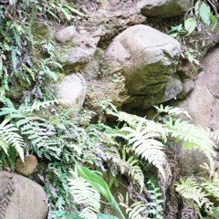 alternative feelings