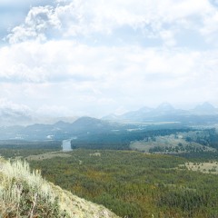 til my dying day_chapter463