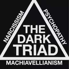 THE PERFECT GIRL HARDTEKK