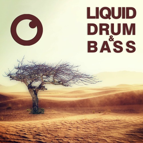 Liquid Drum & Bass Sessions #59 - Dreazz [February]