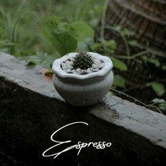 Delta N - Espresso Cover