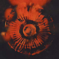 Deep Dynamics 002